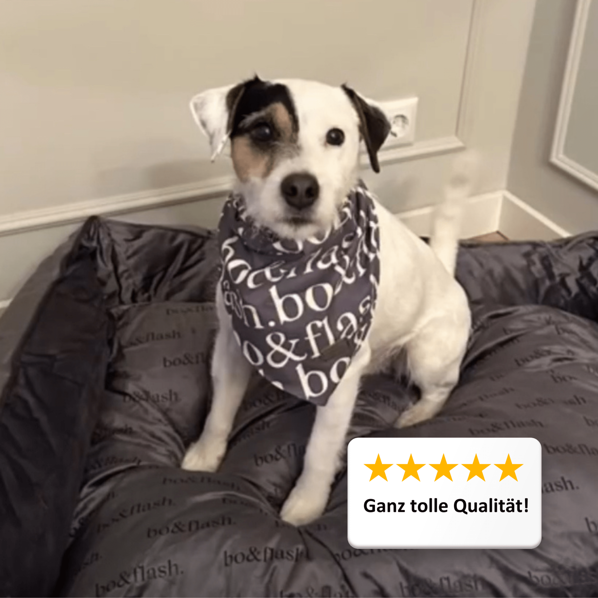 Hundebett Austin "Dark Grey"