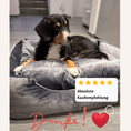 Bild in Galerie-Betrachter laden, Hundebett Austin "Dark Grey"