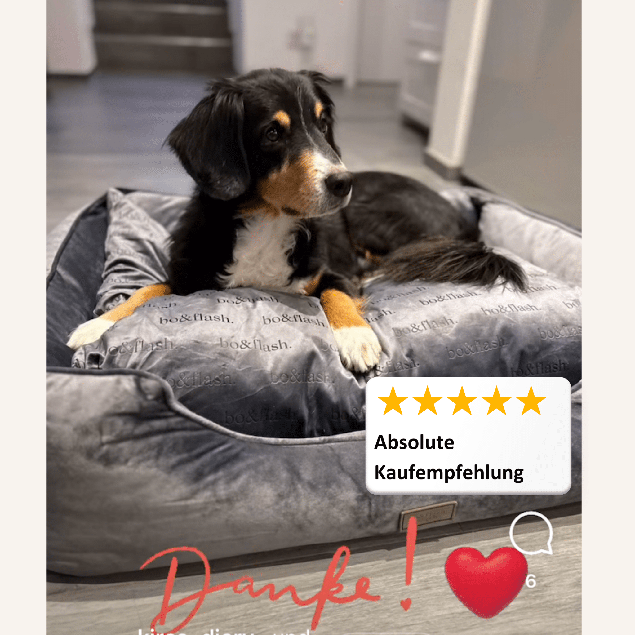 Hundebett Austin "Dark Grey"