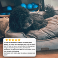 Bild in Galerie-Betrachter laden, Hundebett Austin "Dark Grey"