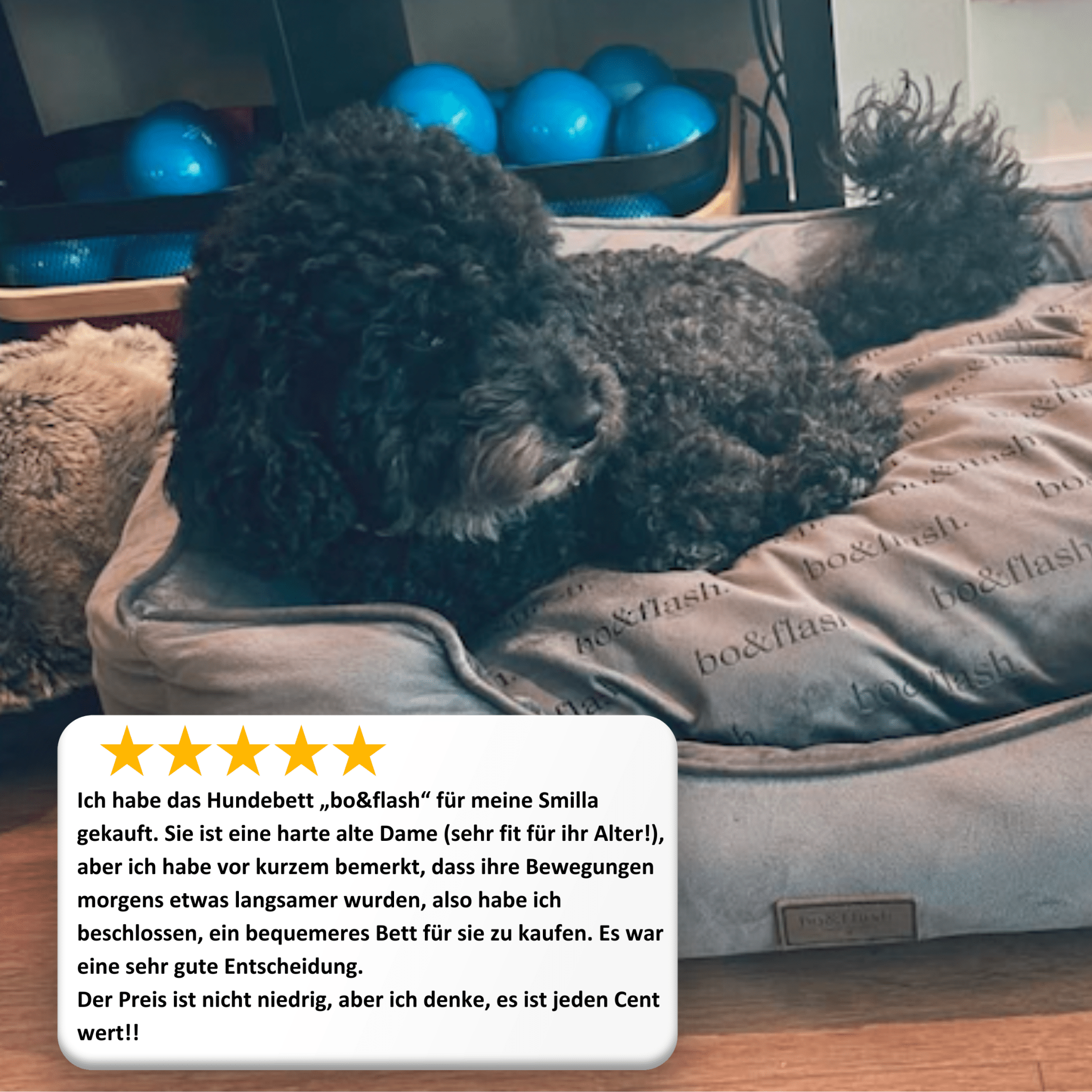 Hundebett Austin "Dark Grey"