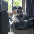 Load image into Gallery viewer, Dog bed Austin "Max"