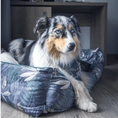 Load image into Gallery viewer, Dog bed Austin "Max"