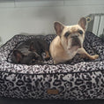 Load image into Gallery viewer, Dog Bed Boise "Claudelle"