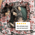 Load image into Gallery viewer, Dog Bed Boise "Simone"