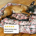 Load image into Gallery viewer, Dog Bed Boise "Simone"