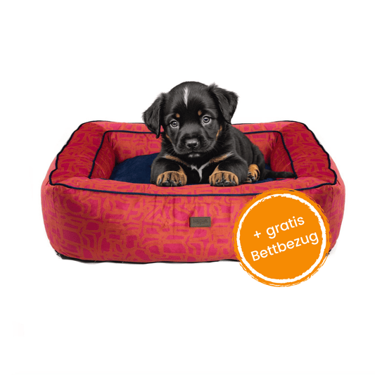 Hundebett Boise "Chouk"