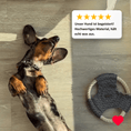 Load image into Gallery viewer, Dog Toys Set Denver "Taupe"