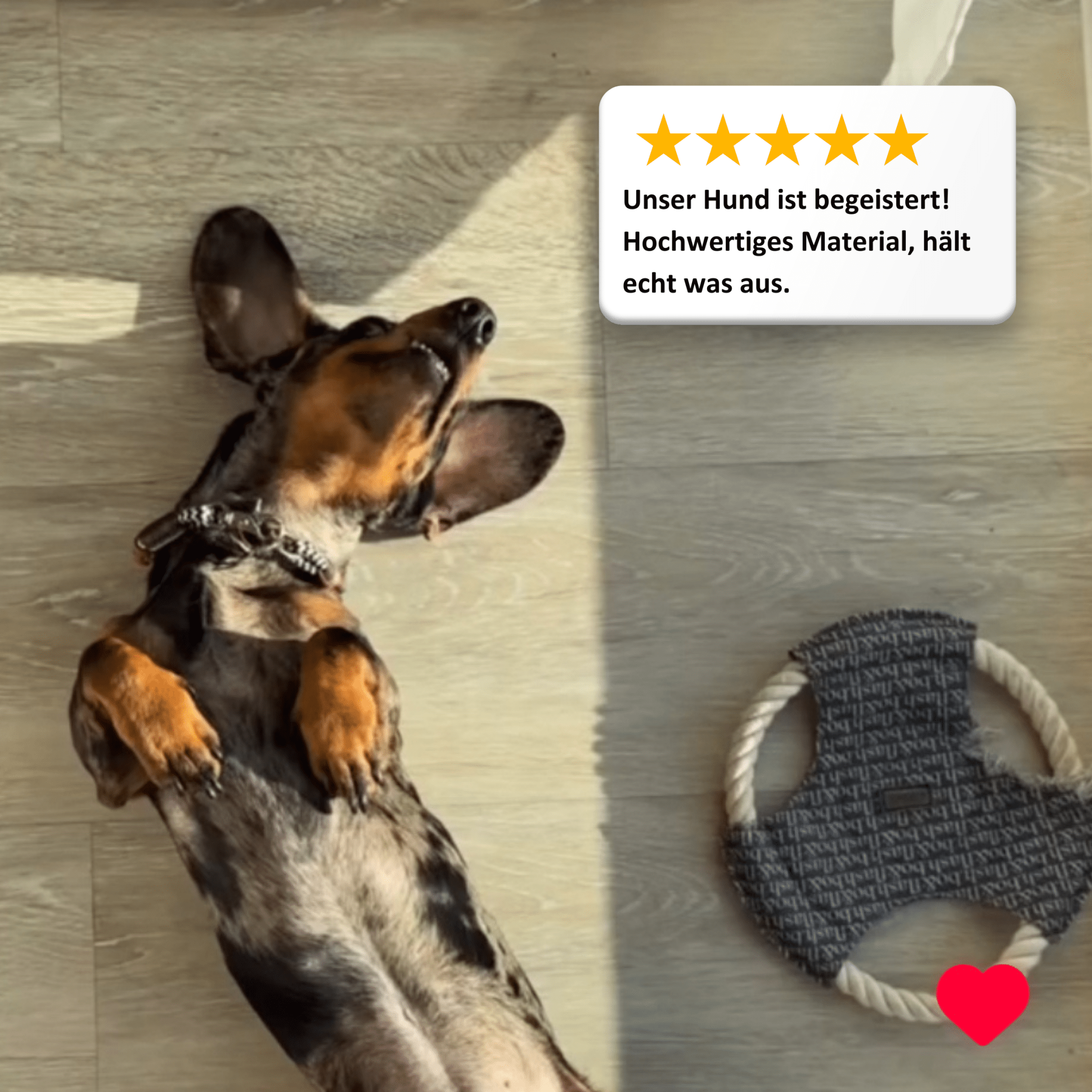 Dog Toys Set Denver "Taupe"