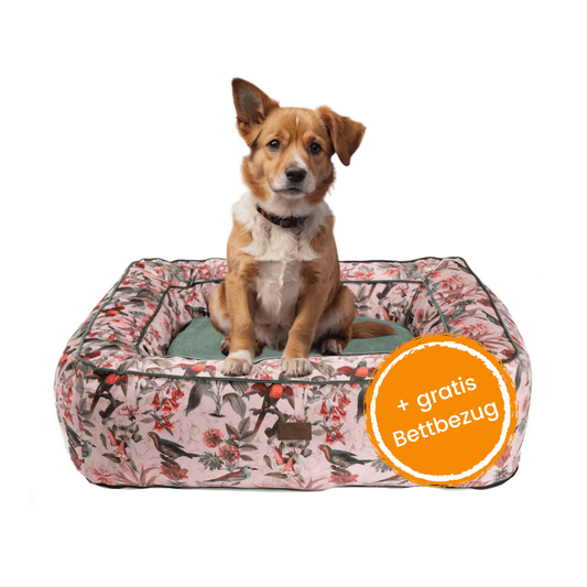 Hundebett Boise "Elodie"