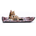 Load image into Gallery viewer, Cat Window Chiller San Francisco "Erdem"