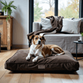 Load image into Gallery viewer, Dog cushion Madison "Taupe"