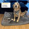 Load image into Gallery viewer, Dog Toys Set Denver "Taupe"