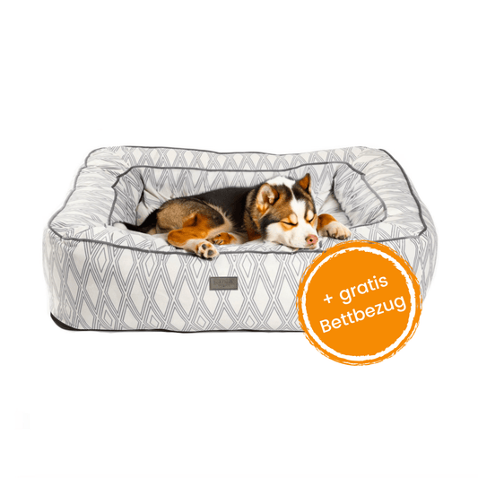 Hundebett Boise "Ruby"