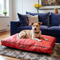 Bild in Galerie-Betrachter laden, Hundekissen Madison "Chouk"