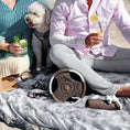Load image into Gallery viewer, Dog Toys Set Denver "Taupe"