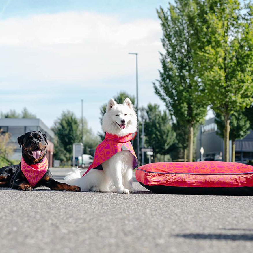 Hundekissen Madison "Chouk"