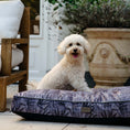 Bild in Galerie-Betrachter laden, Hundekissen Madison "Ilse"