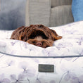 Bild in Galerie-Betrachter laden, Hundebett Austin "Lobna"