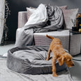 Load image into Gallery viewer, Dog bed San Diego "Dark Grey"