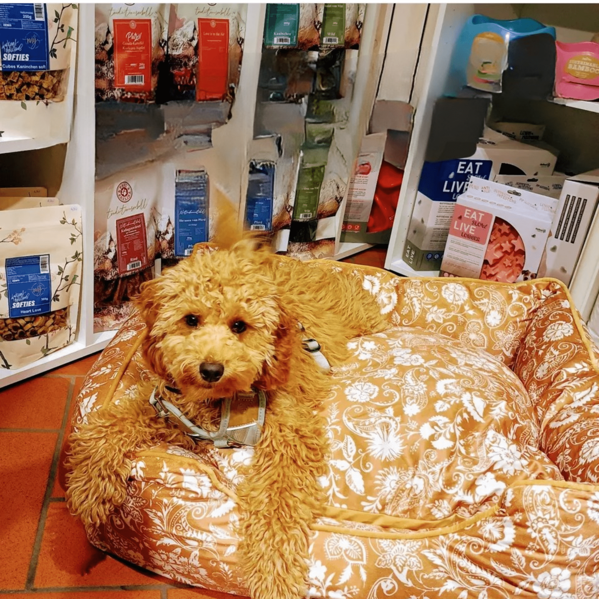 Hundebett Austin "Emmelie"