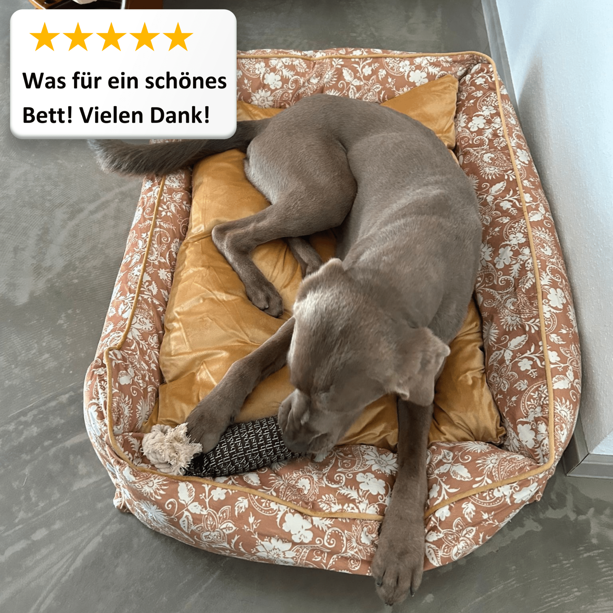 Dog bed Austin "Emmelie"
