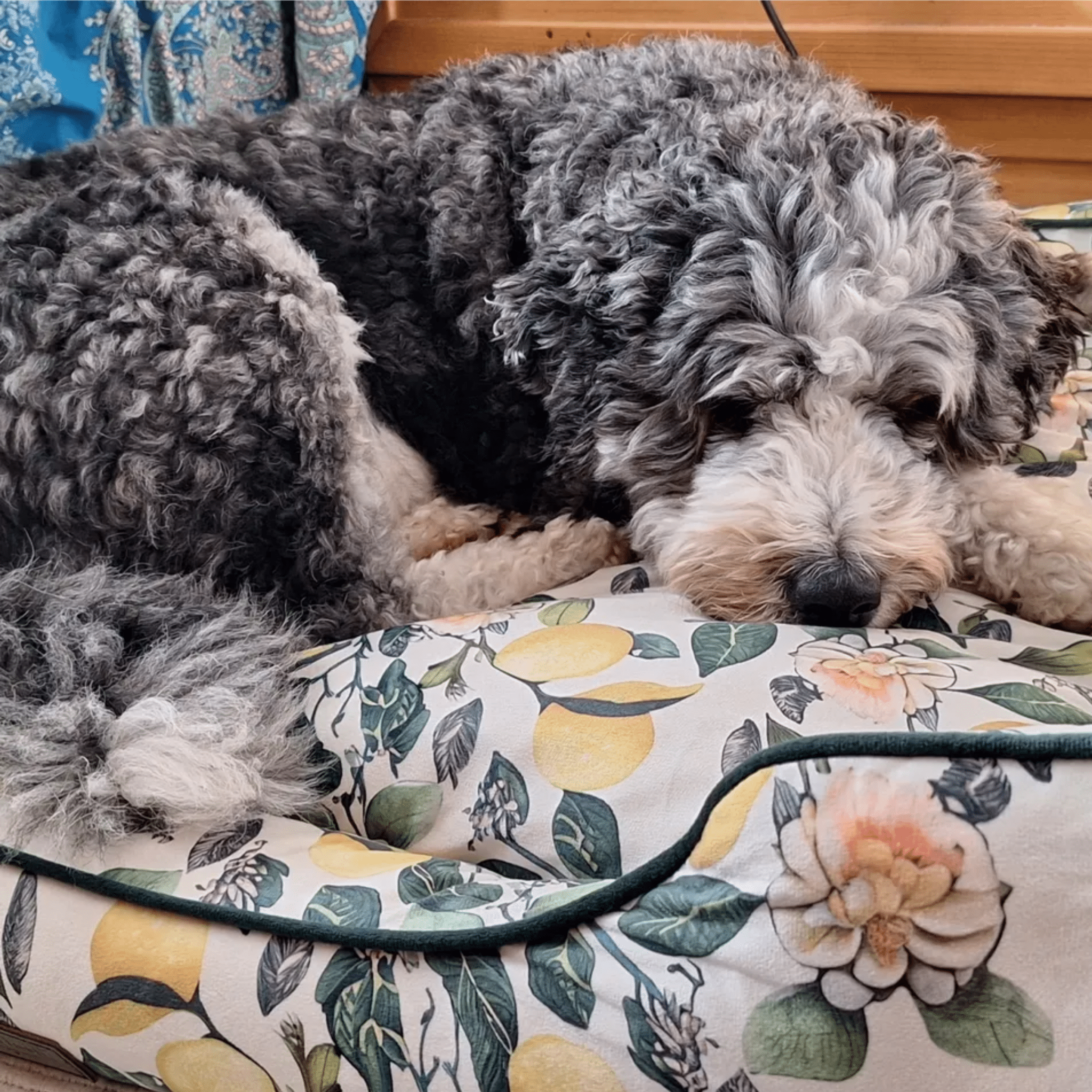 Hundebett Austin "Jessy"