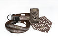 Load image into Gallery viewer, 4 pcs leash Pittsburgh "Taupe"
