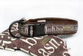 Load image into Gallery viewer, 4 pcs leash Pittsburgh "Taupe"
