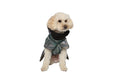 Load image into Gallery viewer, Dog Wintercoat Seattle "Max"
