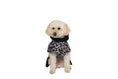 Load image into Gallery viewer, Dog Wintercoat Seattle "Claudelle"
