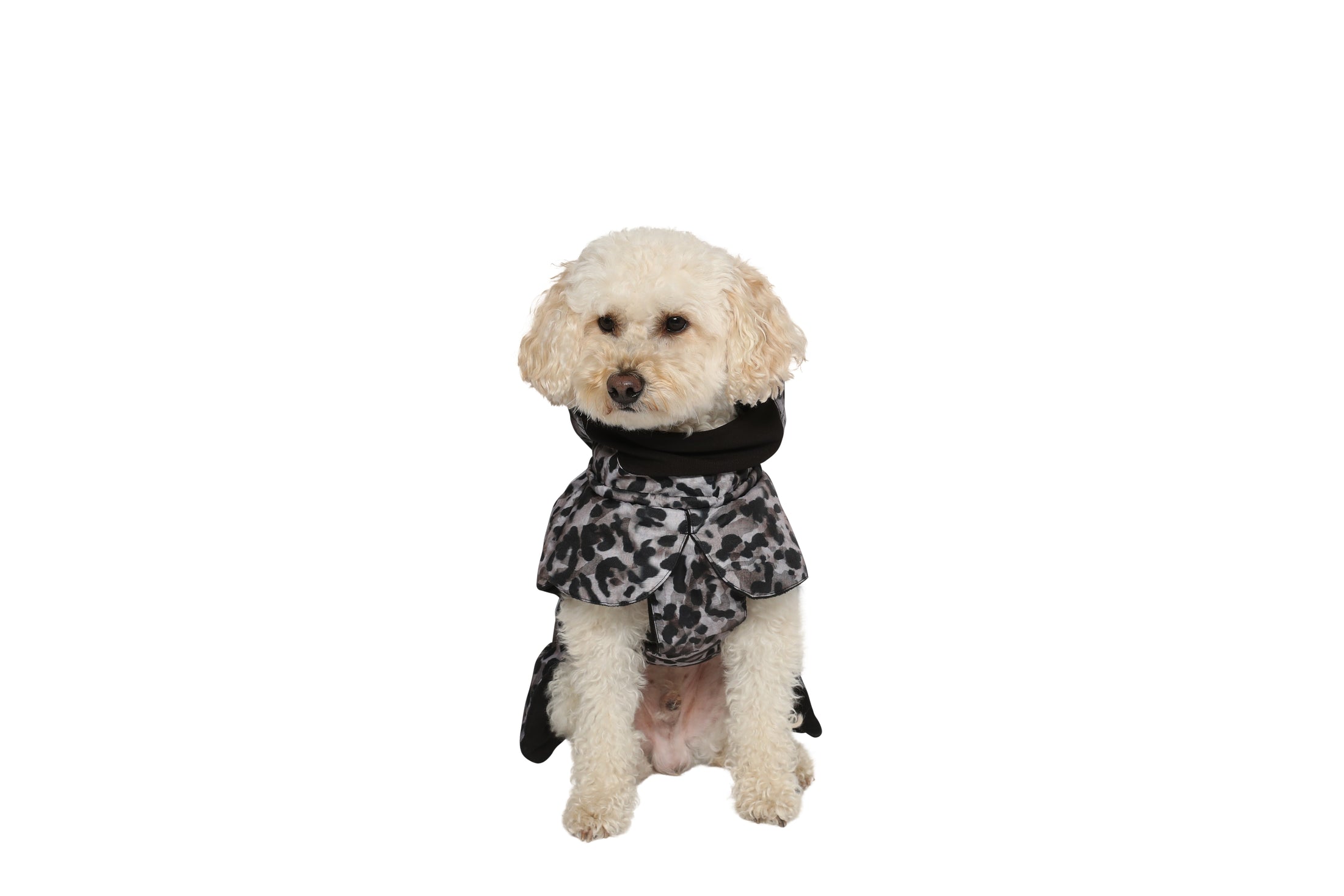 Dog Wintercoat Seattle "Claudelle"