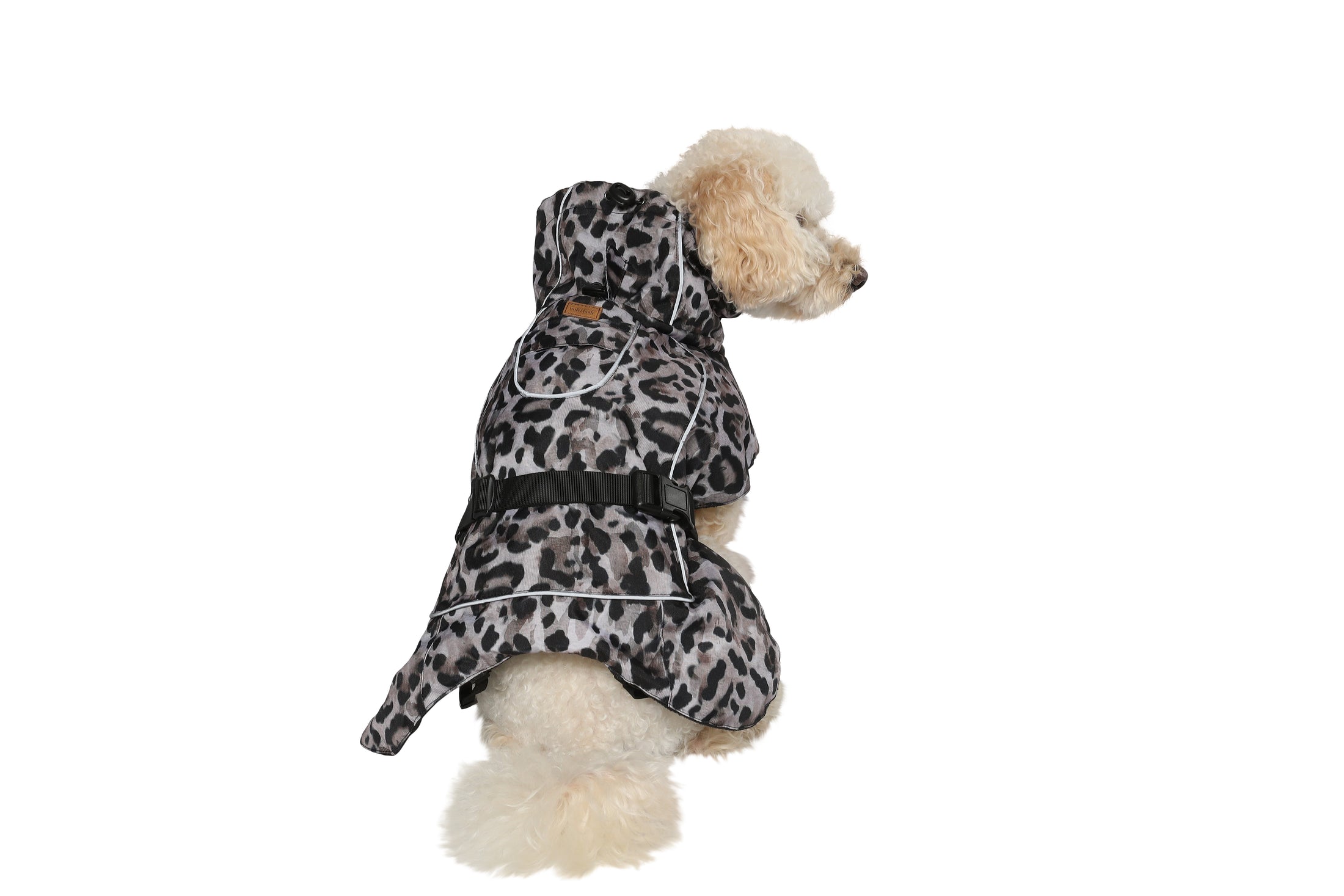 Dog Wintercoat Seattle "Claudelle"