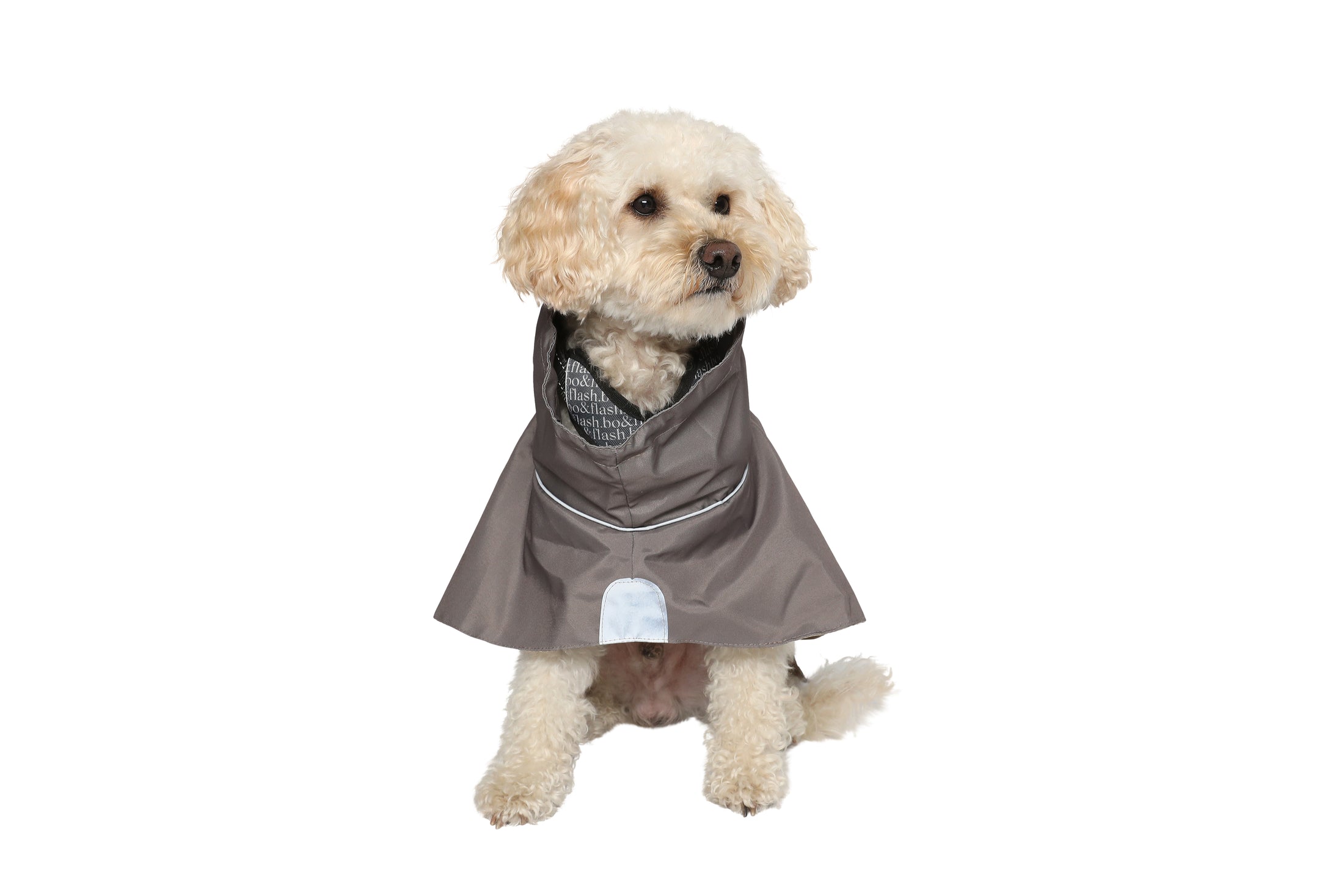 Dog Raincoat Minneapolis "Taupe"