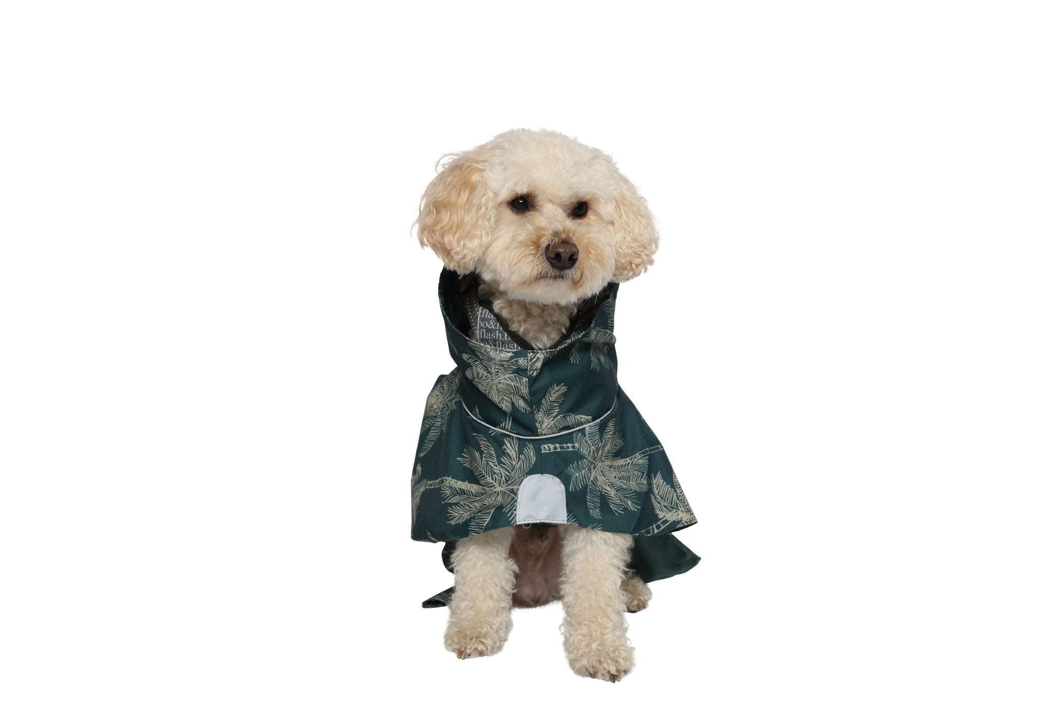 Dog Raincoat Minneapolis "Romy"