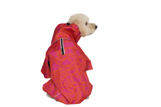 Dog Raincoat Minneapolis "Chouk"