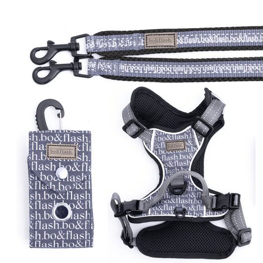 4 pcs Leash Boston "Dark Grey"