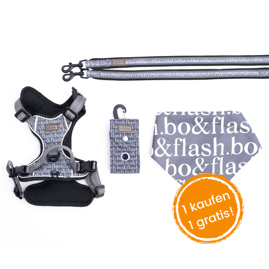 4 pcs Leash Boston "Dark Grey"