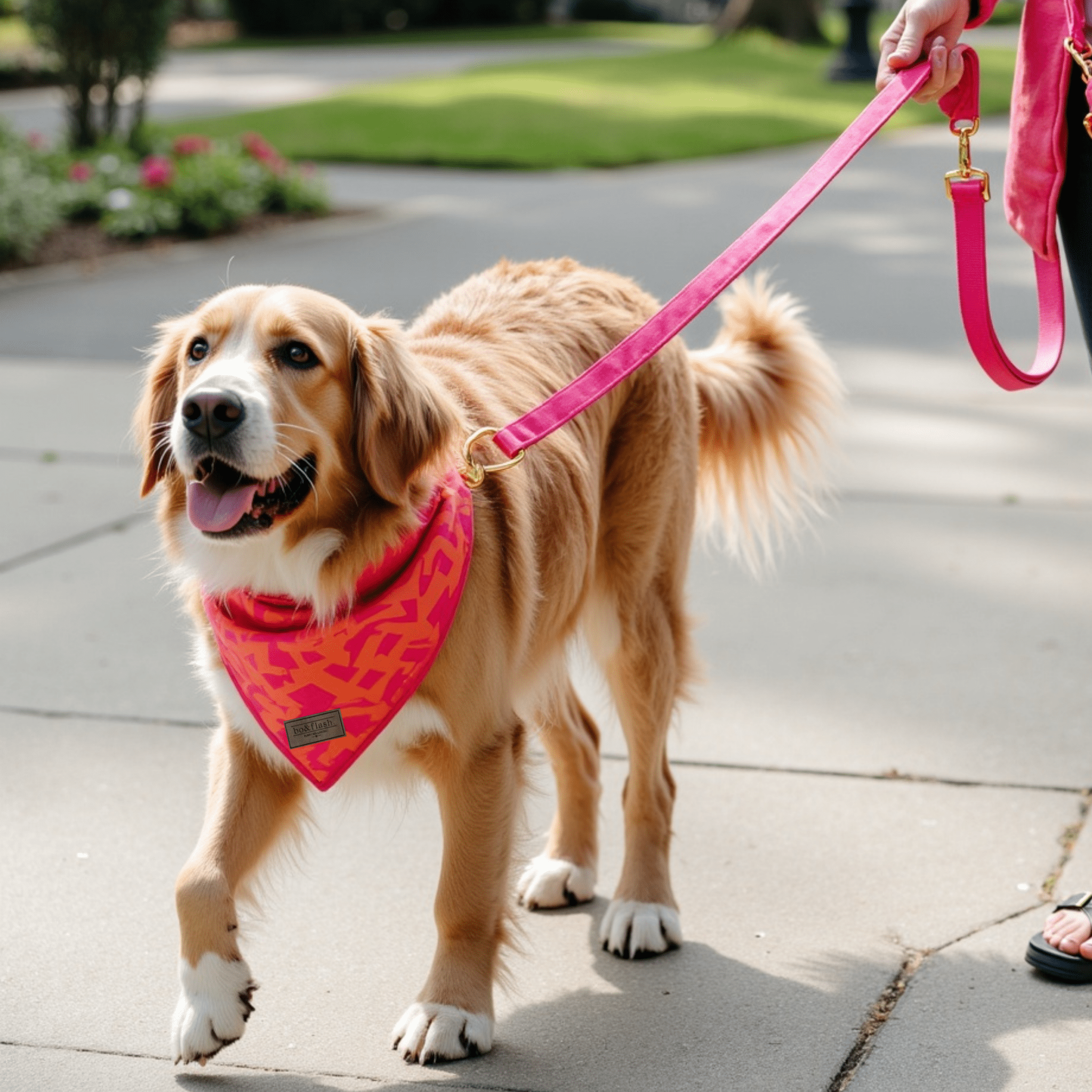 4 pcs Leash Charleston "Chouk"