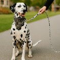 Load image into Gallery viewer, 4 pcs Leash Charleston "Claudelle"
