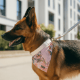 Load image into Gallery viewer, 4 pcs Leash Charleston "Simone"
