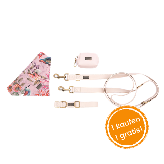 4 pcs Leash Charleston "Simone"