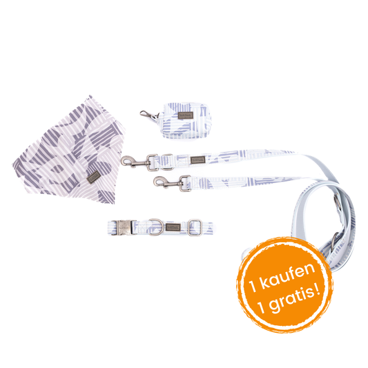 4 pcs Leash Charleston "Peter"