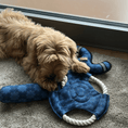 Load image into Gallery viewer, Dog Toys Set Denver "Matthias"
