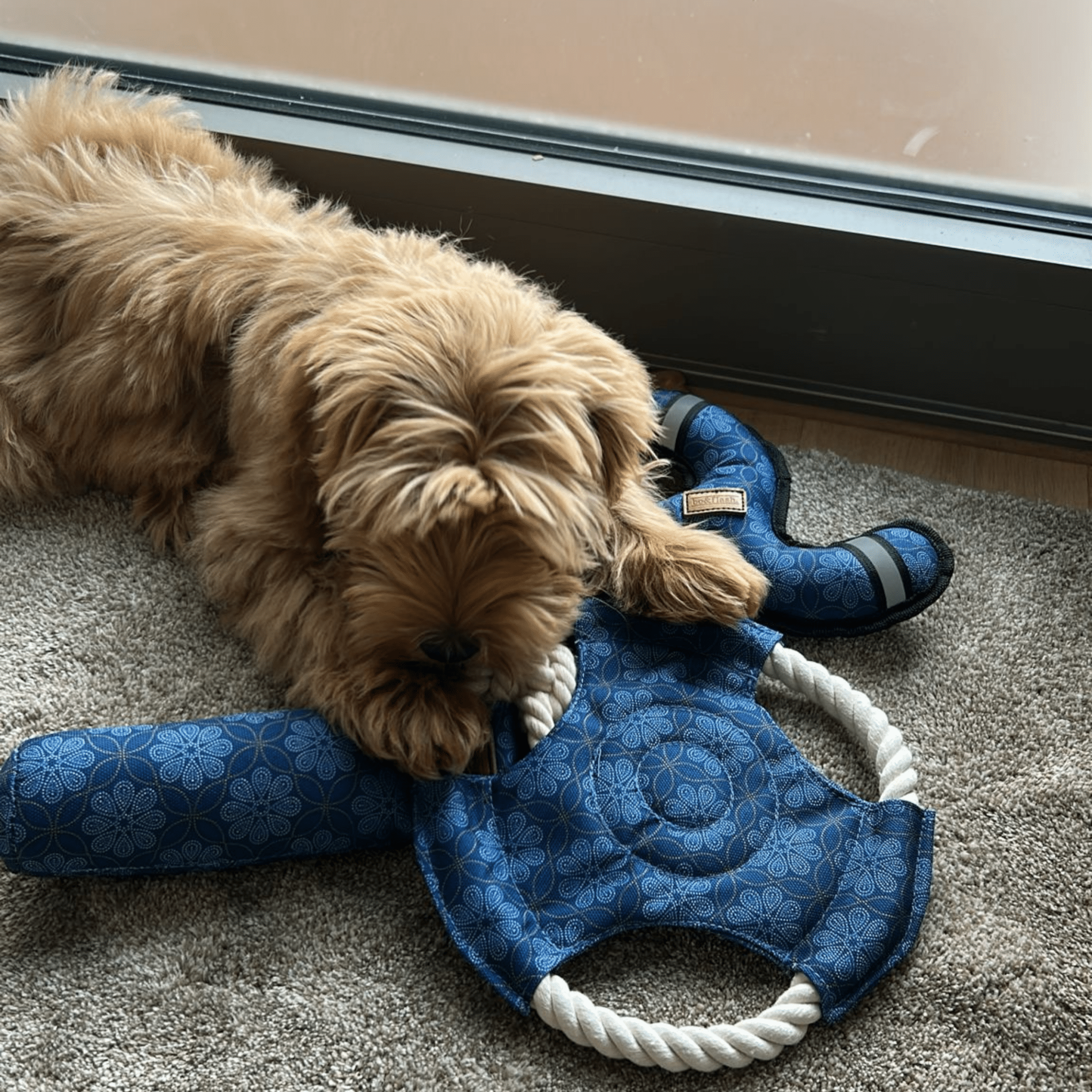 Dog Toys Set Denver "Matthias"