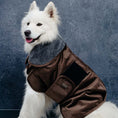 Load image into Gallery viewer, Dog Bathrobe Ashville "Taupe"
