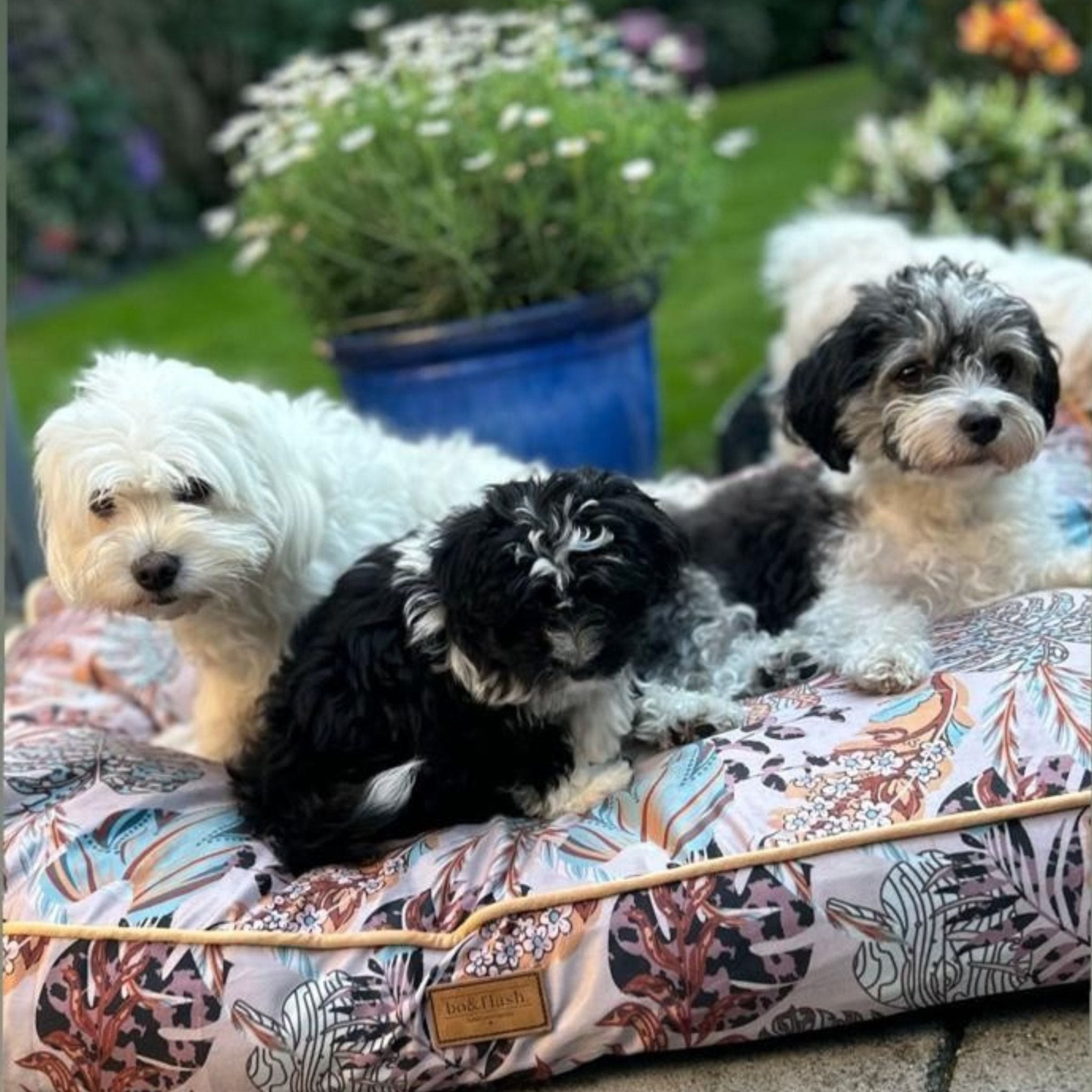 Hundekissen Madison "Erdem"