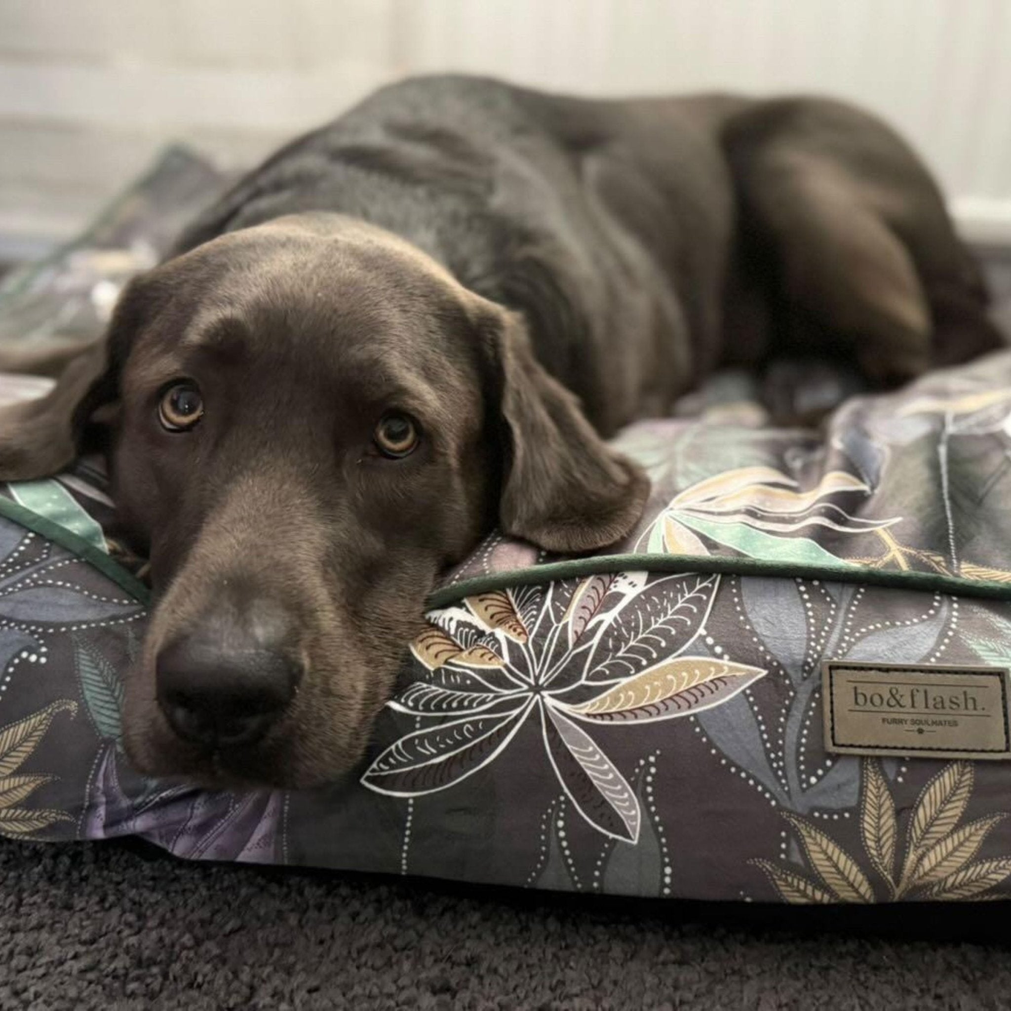 Hundekissen Madison "Max"