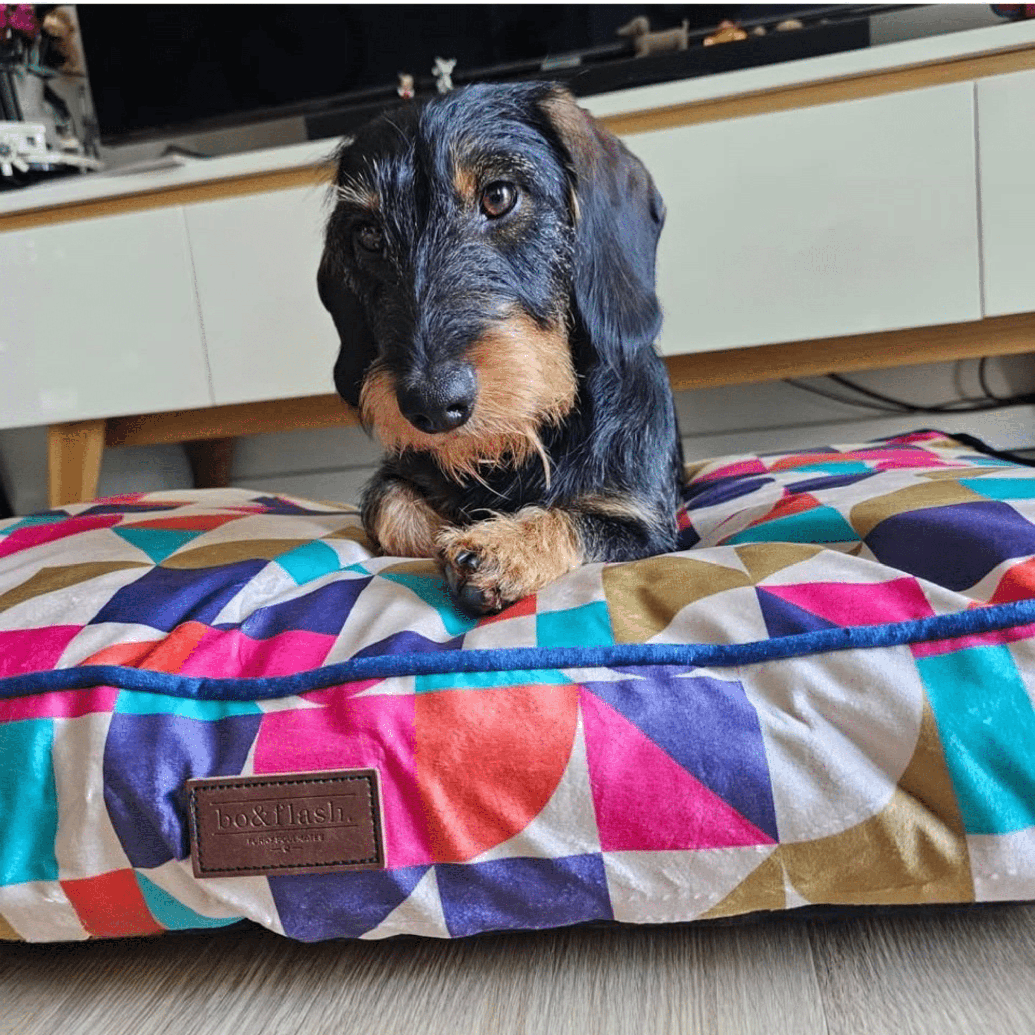 Hundekissen Madison "Michaela"