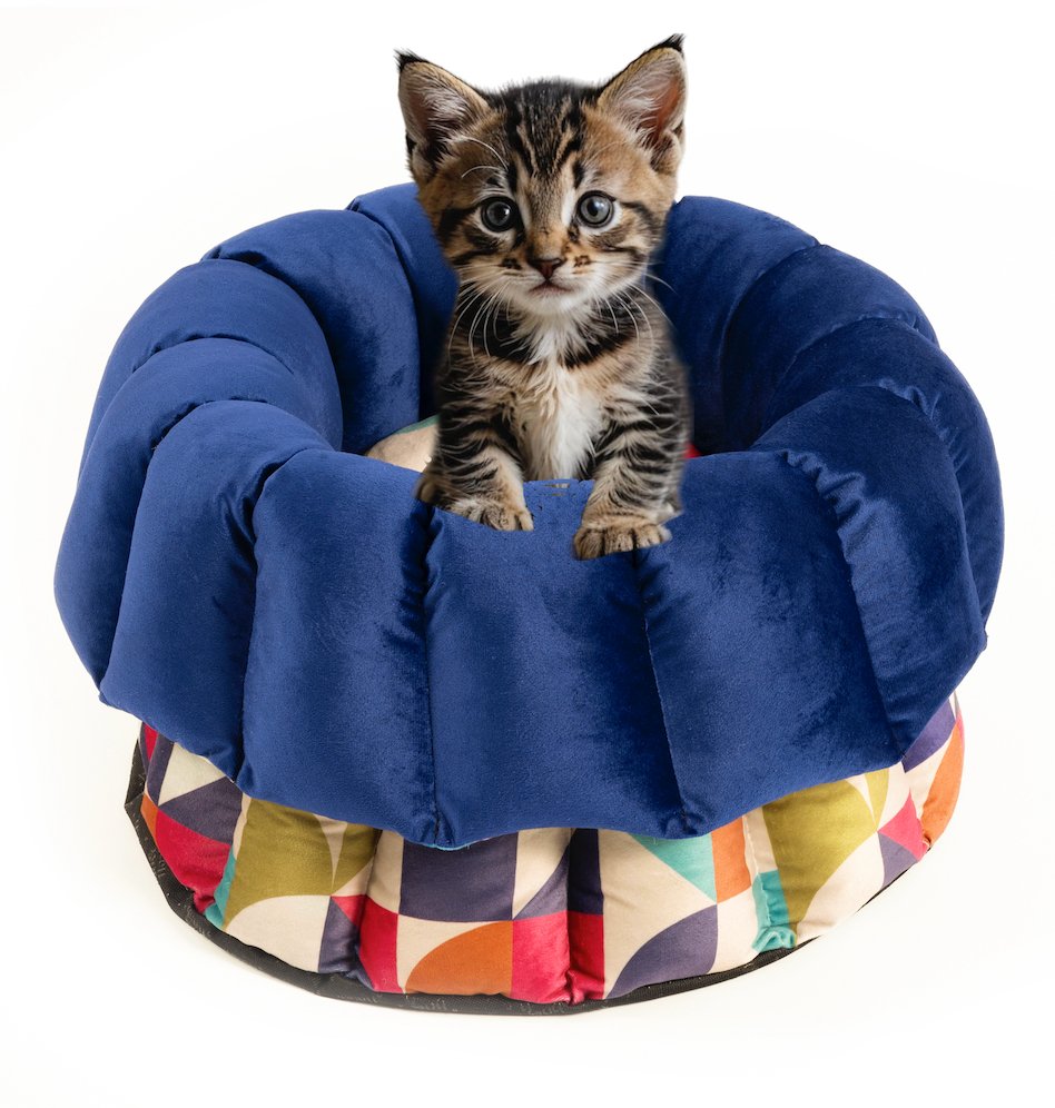 Cat Bed Los Angeles "Michaela"